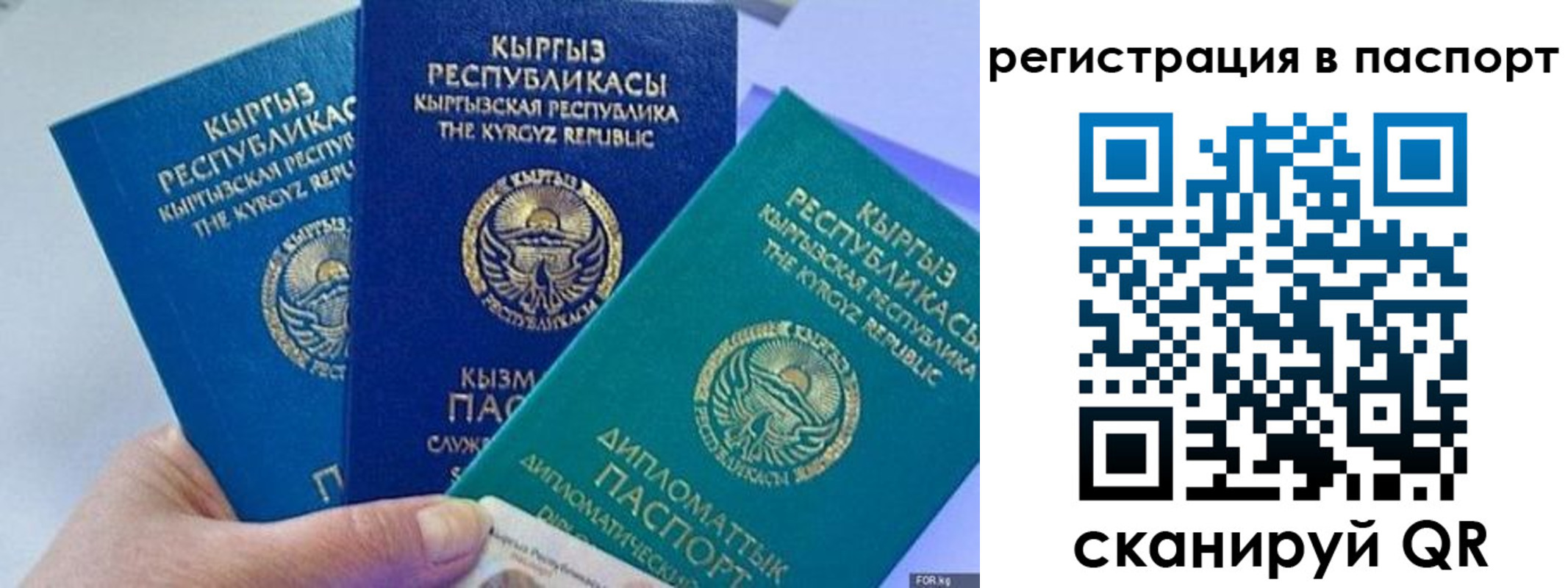 прописка 2025 в Ульяновской области